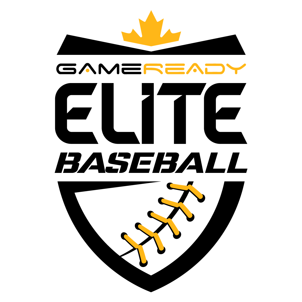 Elite Baseball Pitching Hitting Training