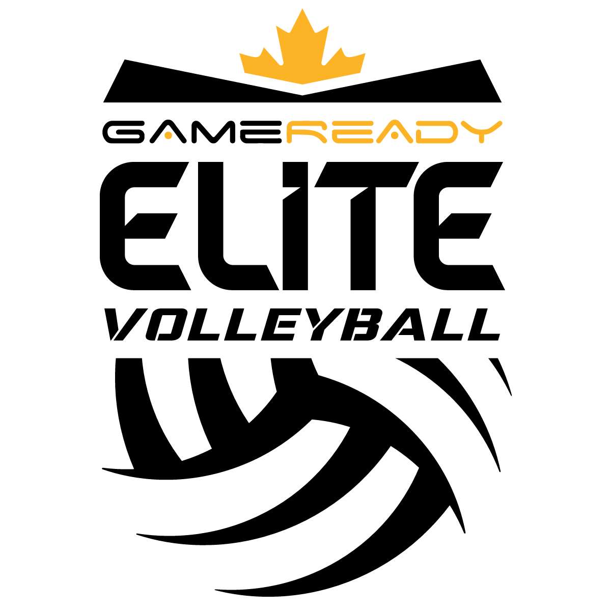 palmetto elite volleyball club website
